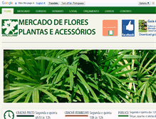 Tablet Screenshot of mercadodeflores.com.br